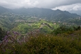 569_Madera_okolice Faial